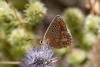 213015 – Photo : Johan Verstraeten – Espagne